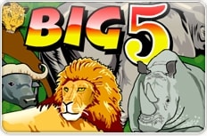 Big 5